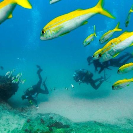 Devocean Eco Adventure Lodge Ponta do Ouro Buitenkant foto