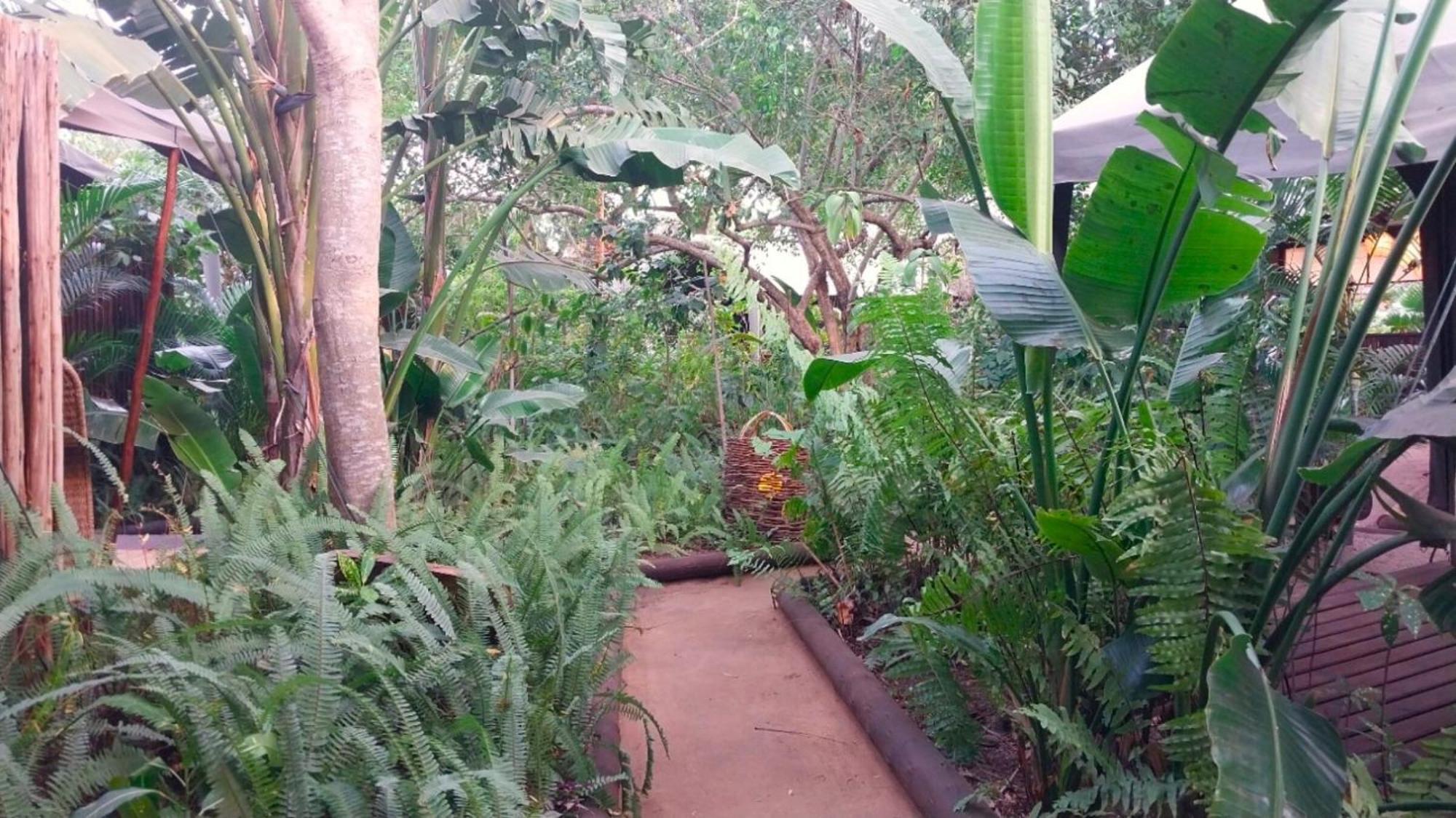 Devocean Eco Adventure Lodge Ponta do Ouro Buitenkant foto