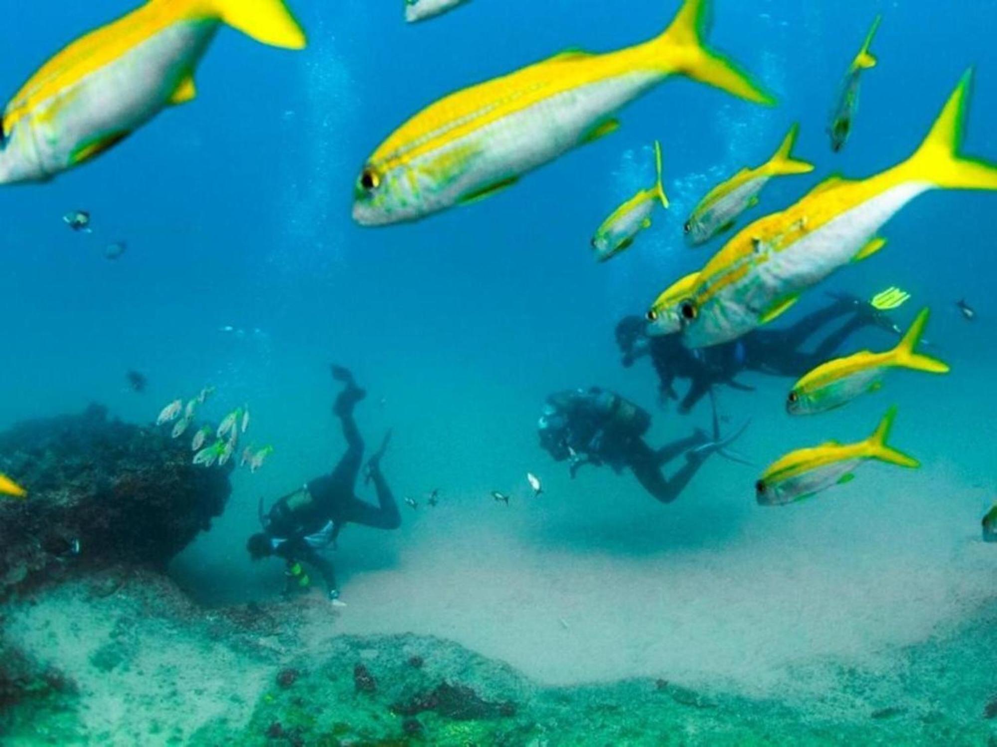 Devocean Eco Adventure Lodge Ponta do Ouro Buitenkant foto
