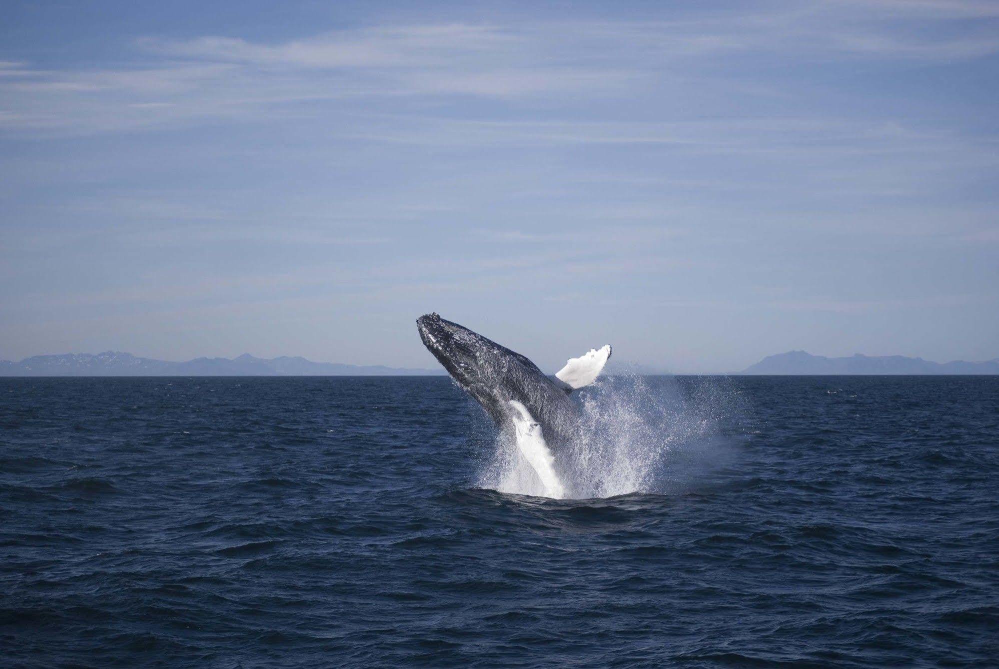 Devocean Eco Adventure Lodge Ponta do Ouro Buitenkant foto